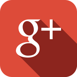 Google+ Link Icon